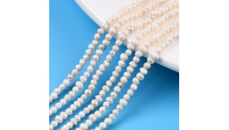 Petites perles fines en nacre d'eau douce 2.5mm par lot de 50