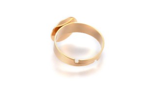 copy of Support bague serpent en acier inoxydable doré plaqué 18K