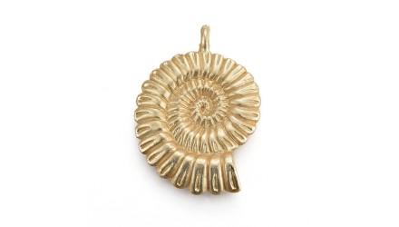 coquillage or
