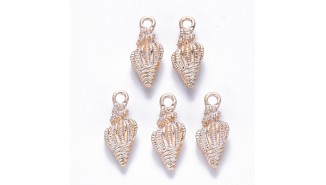 COQUILLAGE OR