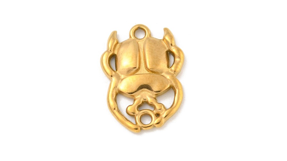 scarabee acier