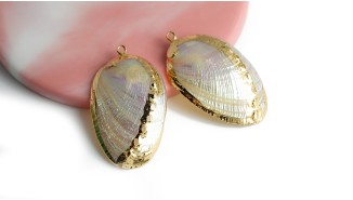 Pendentif en Paua  naturel irisé