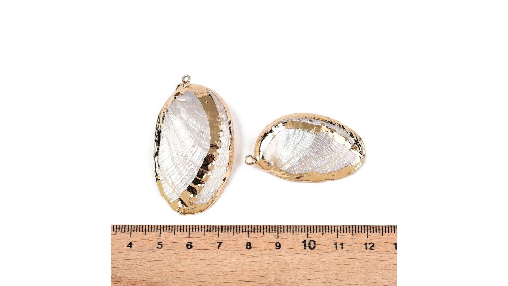 Pendentif en Paua  naturel irisé