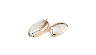 Pendentif en Paua  naturel irisé