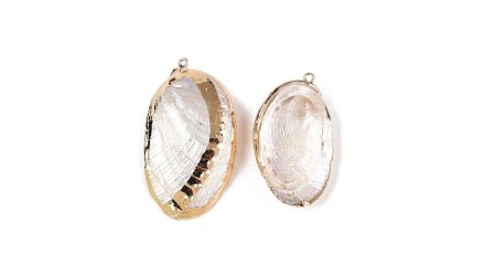 Pendentif en Paua  naturel irisé