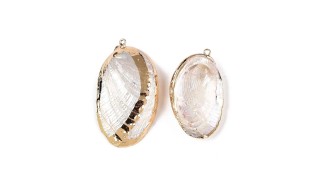 Pendentif en Paua  naturel irisé
