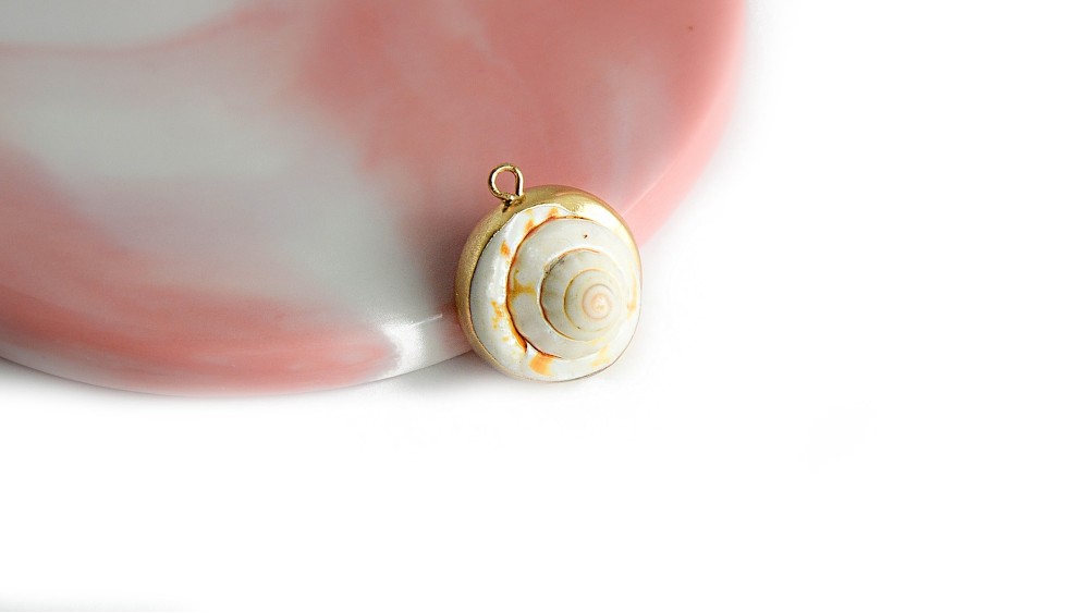 coquillage