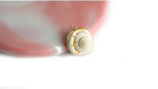 coquillage