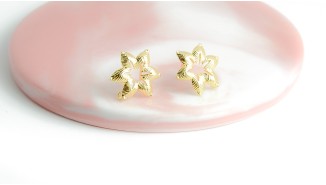 copy of Puces d'oreille feuille en laiton plaqué or 18k