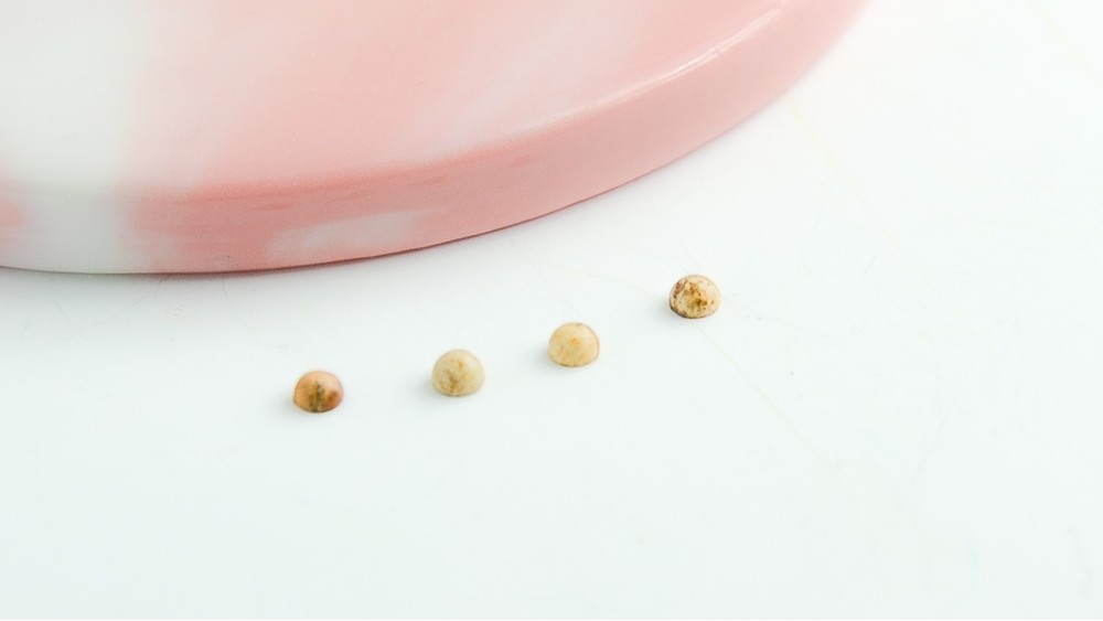 cabochon jade sable