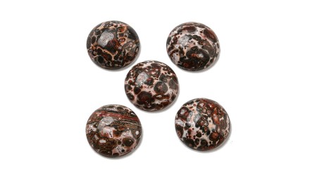 Cabochon 20mm en jaspe léopard