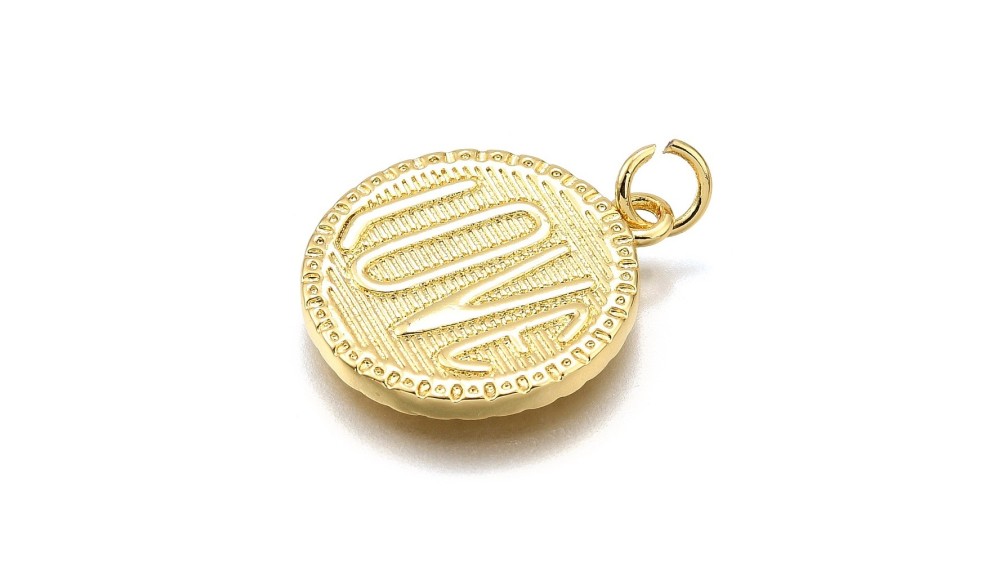 copy of Pendentif oiseau en acier inoxydable couleur acier