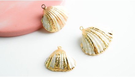 coquillage or