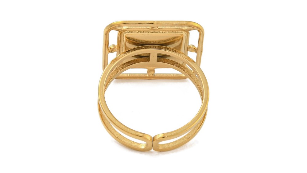 support bague acier or