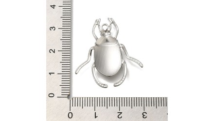 scarabée acier argent