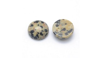 jaspe dalmatien