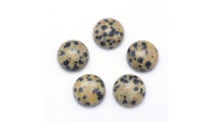 jaspe dalmatien