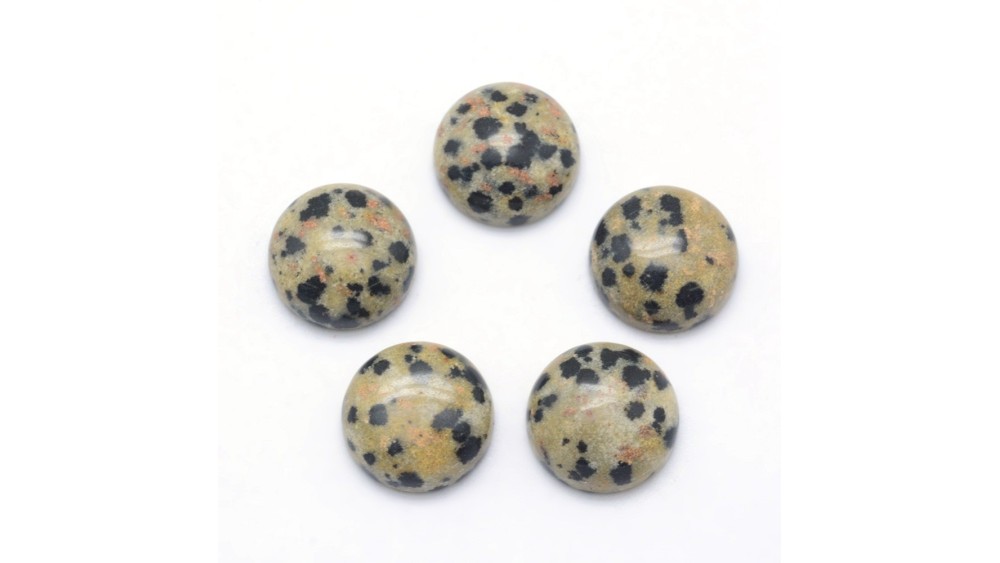 jaspe dalmatien