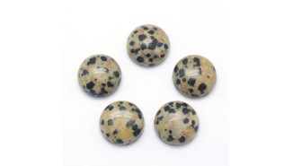 jaspe dalmatien