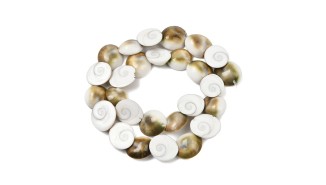 Perles œil de sainte Lucie 15mm