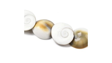 Perles œil de sainte Lucie 15mm
