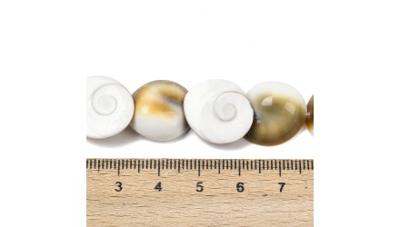 Perles œil de sainte Lucie 15mm