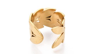 bague acier feuille