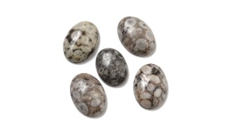 maifanite