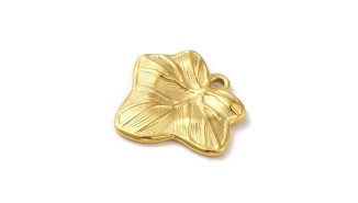 feuille de lierre