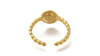 bague acier or