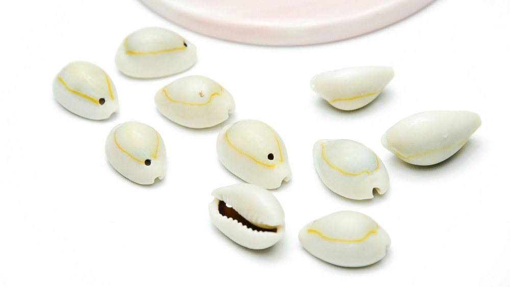 Pendentif cauris naturel x 10