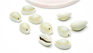 Pendentif cauris naturel x 10