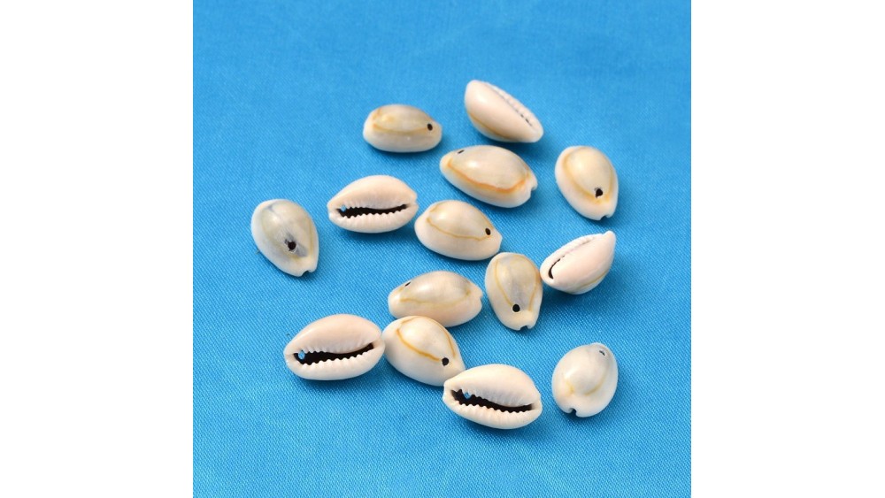 Pendentif cauris naturel x 10
