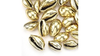 coquillage or