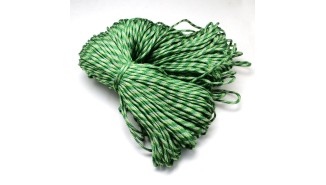 copy of Paracorde 4mm turquoise
