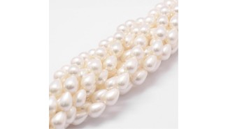 copy of Perle x 30 fleur nacre veritable 6mm