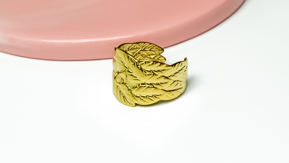 bague acier feuille