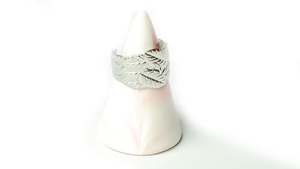 bague anneau acier