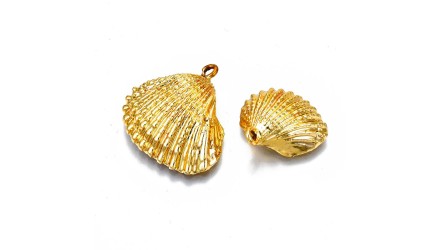 charm coquillage