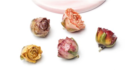 rose éternelle
