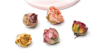 rose éternelle