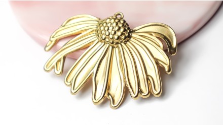 fleur d'échinacée