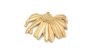 fleur d'échinacée