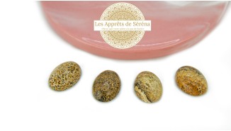 copy of Cabochon 12mm agate indienne naturelle