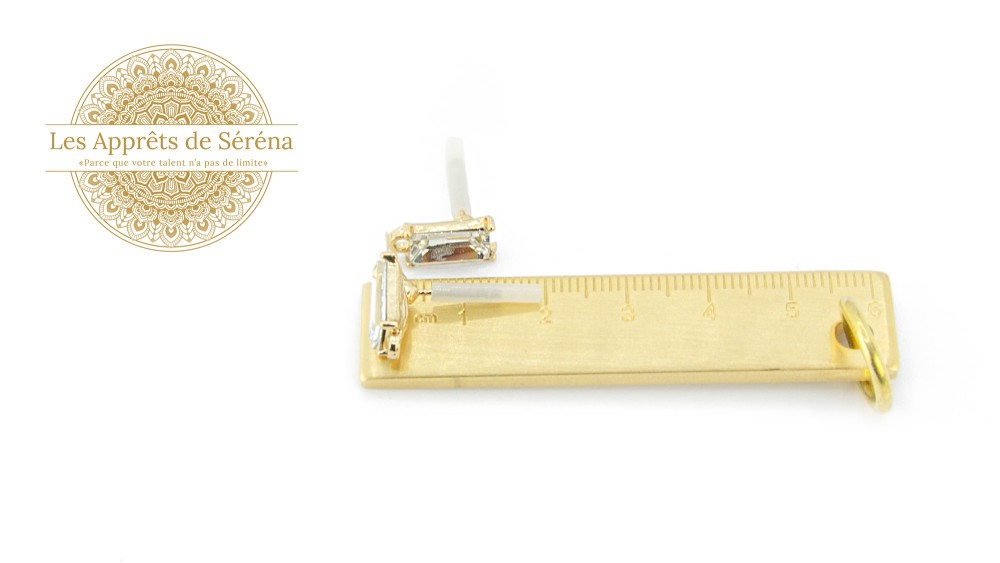 puce d'oreille strass paire