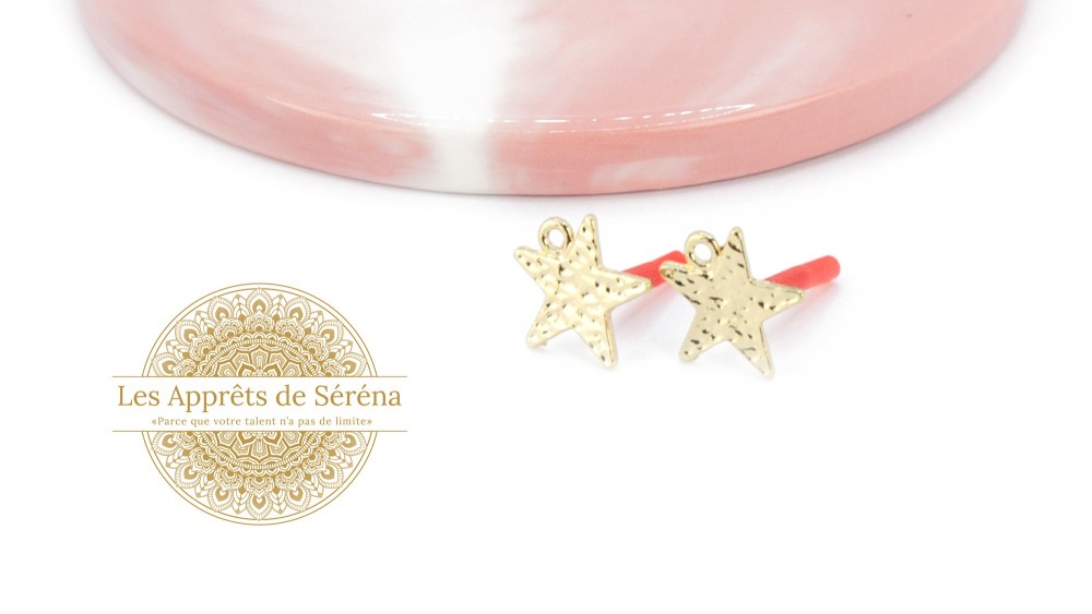 copy of Puces d'oreille en acétate violette x paire
