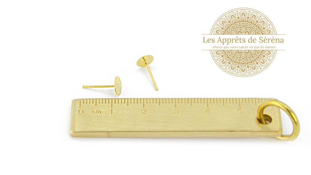 copy of Puces d'oreille en acétate violette x paire