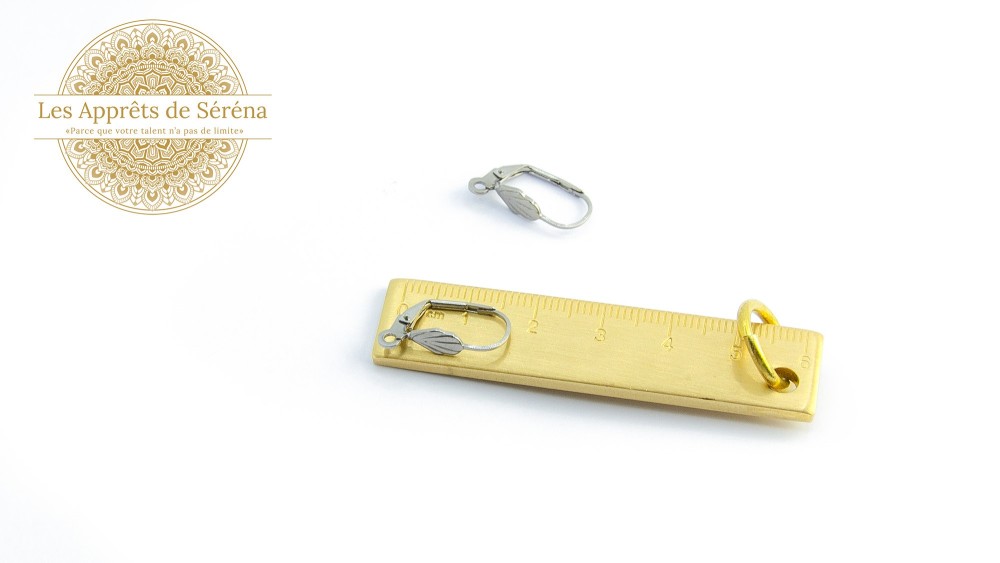Dormeuses à levier en acier inoxydable 304 argent pour création de bijoux