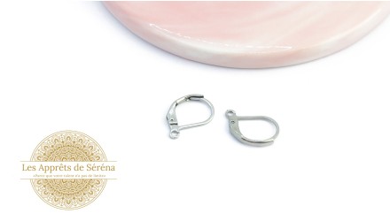 Dormeuses à levier en acier 304 couleur acier pour création de bijoux