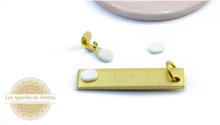 Protection pour boucles d'oreilles clips